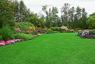 LAND SCAPED GARDEN